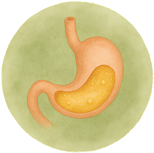 Digestive Disorders Basil Oberwill